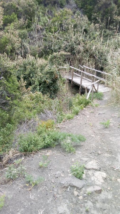 B&B Casa Frank Stromboli Luaran gambar